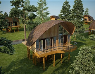 现代木质斜屋顶