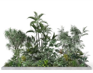 现代植物组团