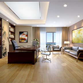 现代 办公室 总经理办公室