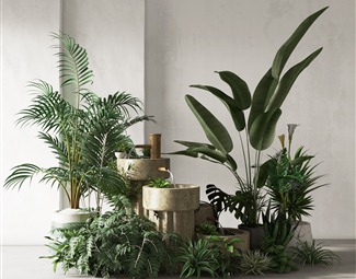 现代 植物 盆栽盆景