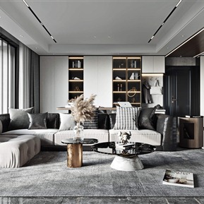 轻奢 客餐厅 黑白灰专用