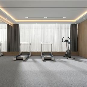 现代 健身房