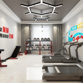 现代 健身房 健身室