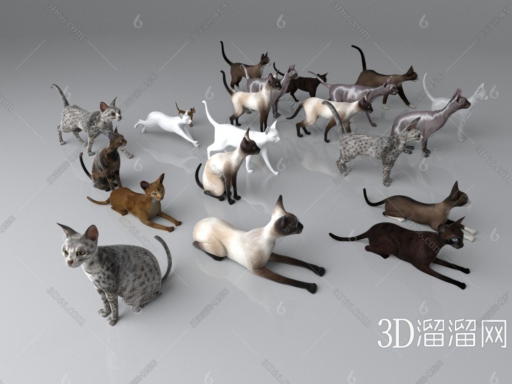 现代宠物猫组合3d模型下载