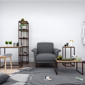 现代 单人沙发 沙发 装饰品