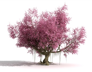 现代 樱花树