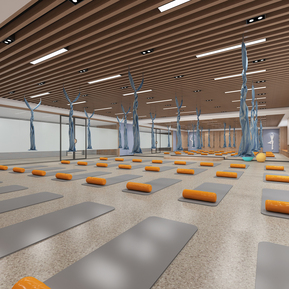 现代 瑜伽室 大瑜伽房小舞蹈室