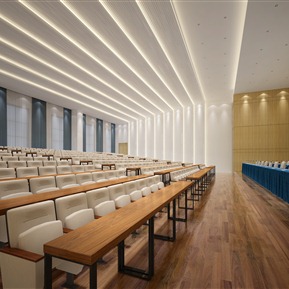 现代 会议厅 报告厅