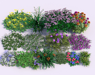 现代 花 花草