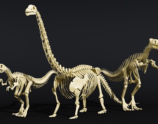 现代恐龙化石摆件3d模型下载