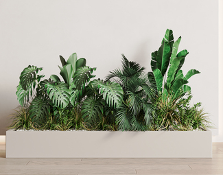 现代 盆栽 植物堆