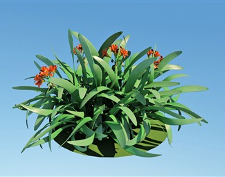 现代绿植花卉