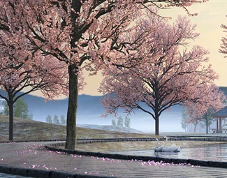 现代 园林景观 樱花林