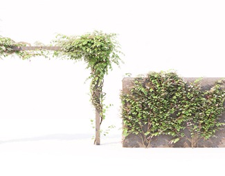 现代墙面绿植装饰