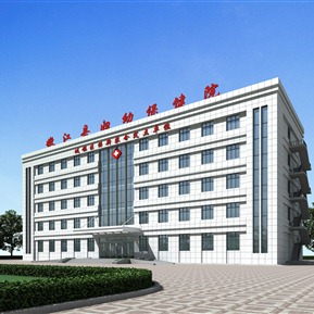 现代 医院建筑 医院