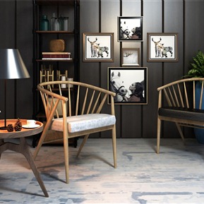 北欧 扶手椅 休闲椅相框小盆栽组合