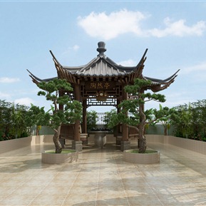 新中式 庭院 露台花园