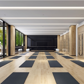 现代 瑜伽室 瑜伽健身房