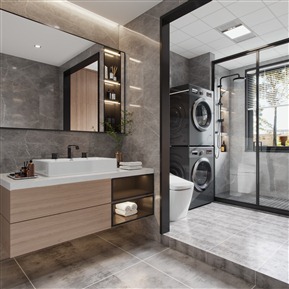 现代 卫生间 次卫生间