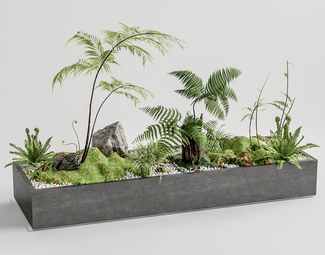 现代 景观小品 蕨类庭院景观小品蕨类植物