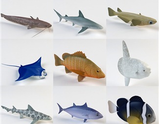现代海洋动物