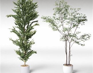 现代 盆栽 绿植盆栽摆件