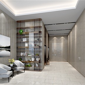 现代 电梯厅 办公接待大厅电梯厅书架休闲椅