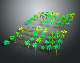 现代热带植物