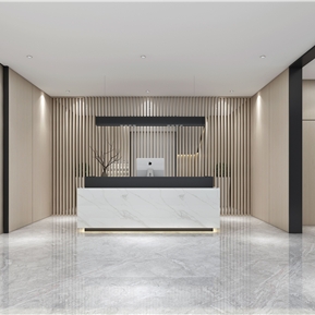 现代 前台 公司大厅前台