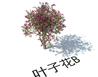 现代现代景观植物