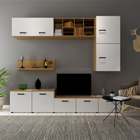 北欧 电视柜 电视柜休闲椅组合