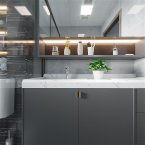 现代 卫生间 主卫