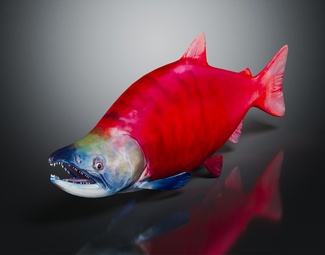 现代海洋生物
