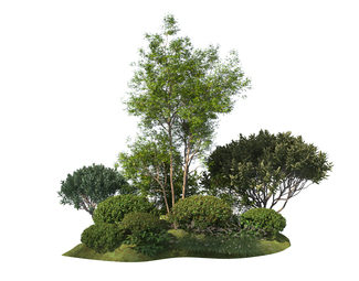 现代 灌木 植物组合