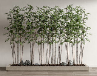 现代 竹子 景观石头 花池 景观竹 罗汉竹 翠竹 园林竹