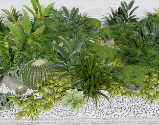 现代 植物 植物堆景观