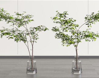 植物摆件组合 植物装饰摆件 绿色树枝