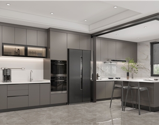 现代 厨房 厨房橱柜