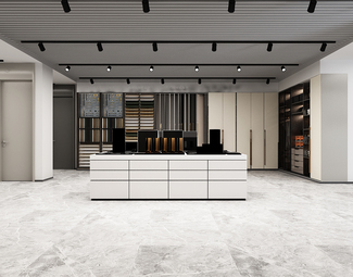 现代 展厅 木门展厅