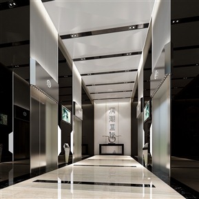 现代 电梯厅 办公黑白灰电梯间