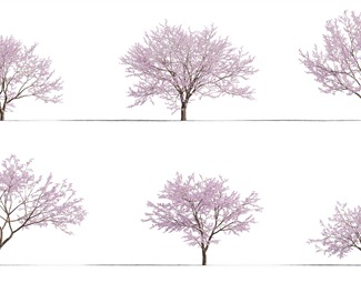 现代 花树 景观树