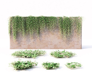 现代绿色植物