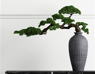 现代室内盆栽树