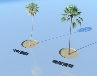 现代 蒲葵