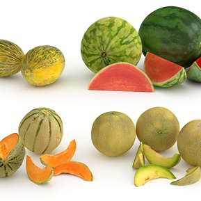 现代 水果 水果西瓜 甜瓜 香瓜 哈密瓜 木瓜