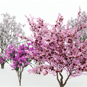 现代 树 开花树