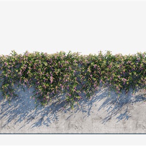 现代 植物墙 绿植藤蔓植物墙紫哈登柏豆