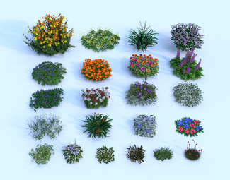 现代 花 花草