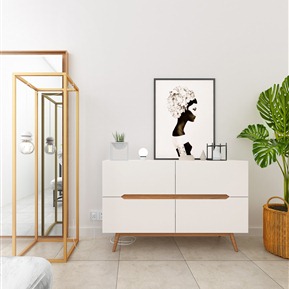 北欧 玄关柜 玄关柜换衣镜绿植