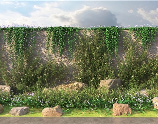 现代爬藤植物墙